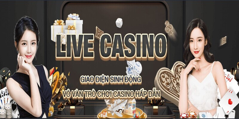 Thiết kế 88AA đơn giản