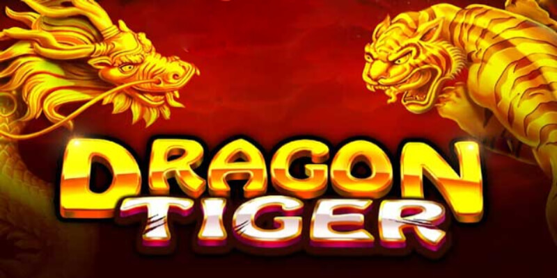 Các hình thức cược trong trò chơi Rồng Hổ online 88AA